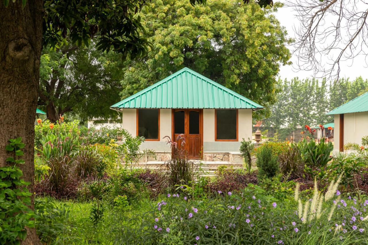 Zana Luxury Forest Resort, Ranthambore Sawai Madhopur Exterior photo